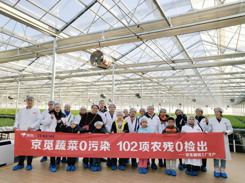 高端蔬菜與農業科普知識兩手抓，京東植物工廠打造健康生活新方式