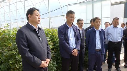 考察學習交流 優勢互補促發展，共繪農業園藝服務新篇章
