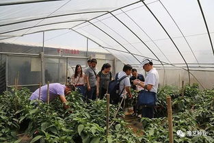 河南農業大學專家團到訪園區，共探現代農業園藝服務新篇章